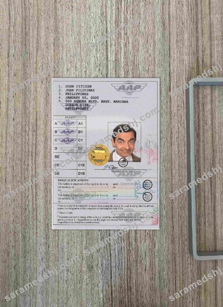 Philippines International driving permit (Vienna Convention format) photolook